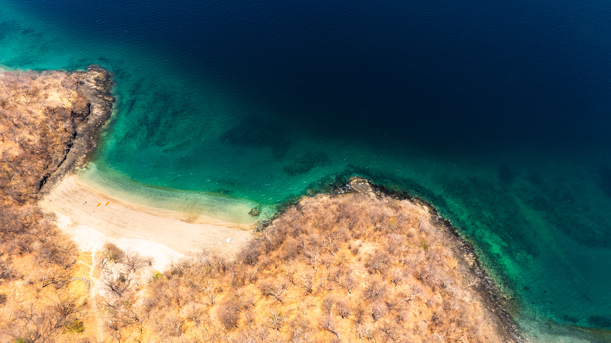 Ficus Sunset Suites - Monteverde